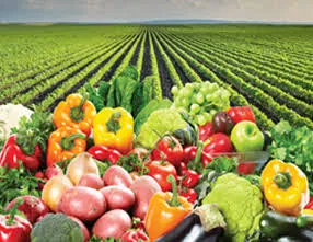 crops