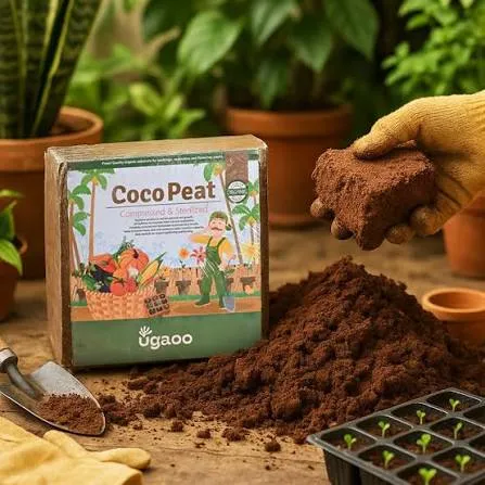 cocopeat